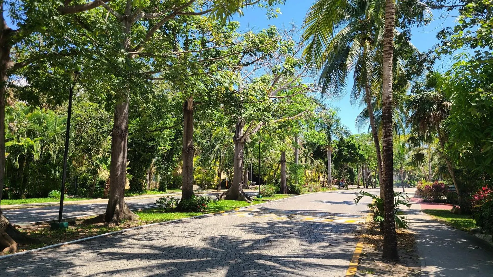 Paseo Del Sol Coral 106 Condo Playa del Carmen 0*,  Mexique